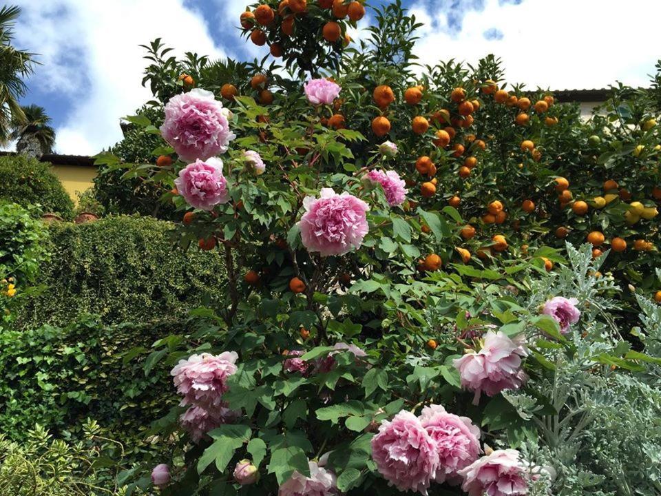 Residenza Buggiano Antica B&B - Charme Apartment In Tuscany 보르고 아 부기아노 외부 사진